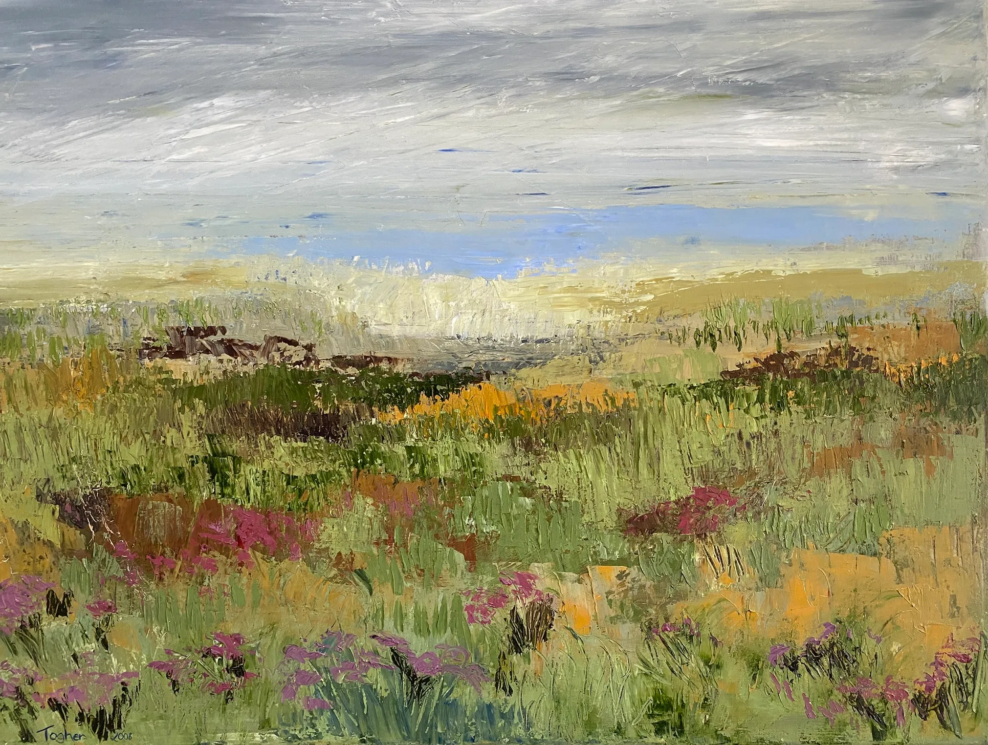 Open landscape